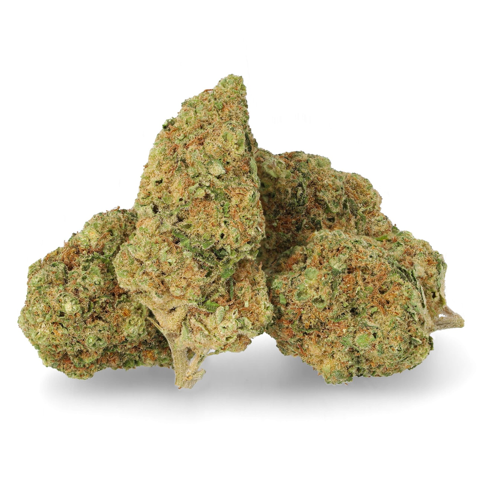 Golden Boy harvested flower, as labeled by the cited photo source