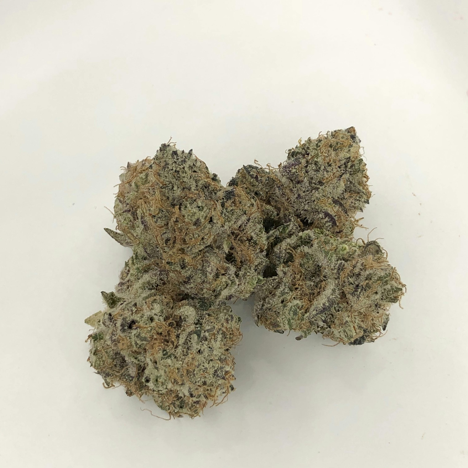 Golden Chocolate Marijuana Strain Information & Reviews AllBud