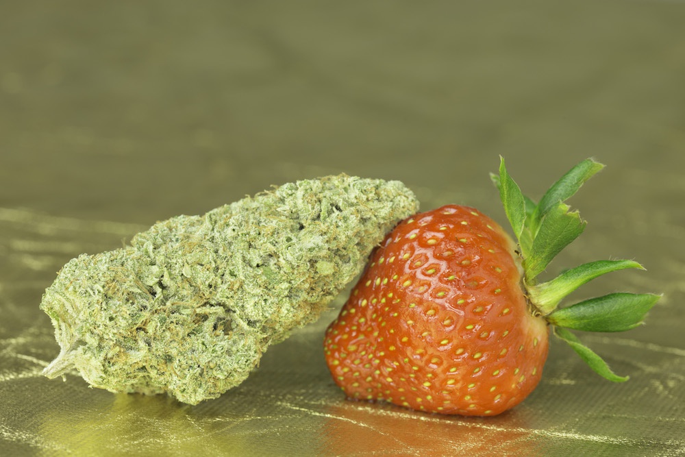 Golden Strawberries Marijuana Strain Information & Reviews AllBud