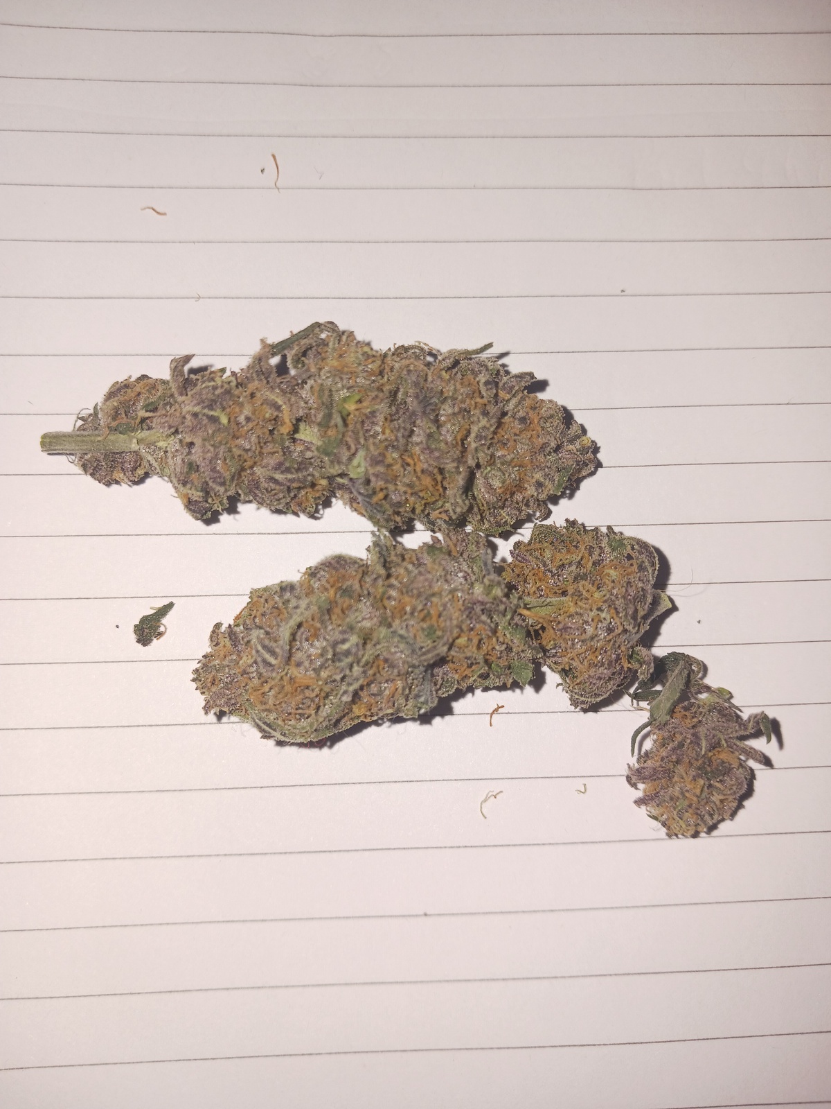 Goo Berry Marijuana Strain Information & Reviews AllBud