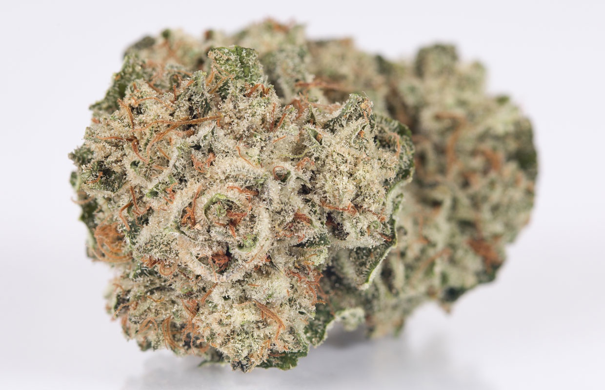 Gorilla Bubba Marijuana Strain Information & Reviews AllBud