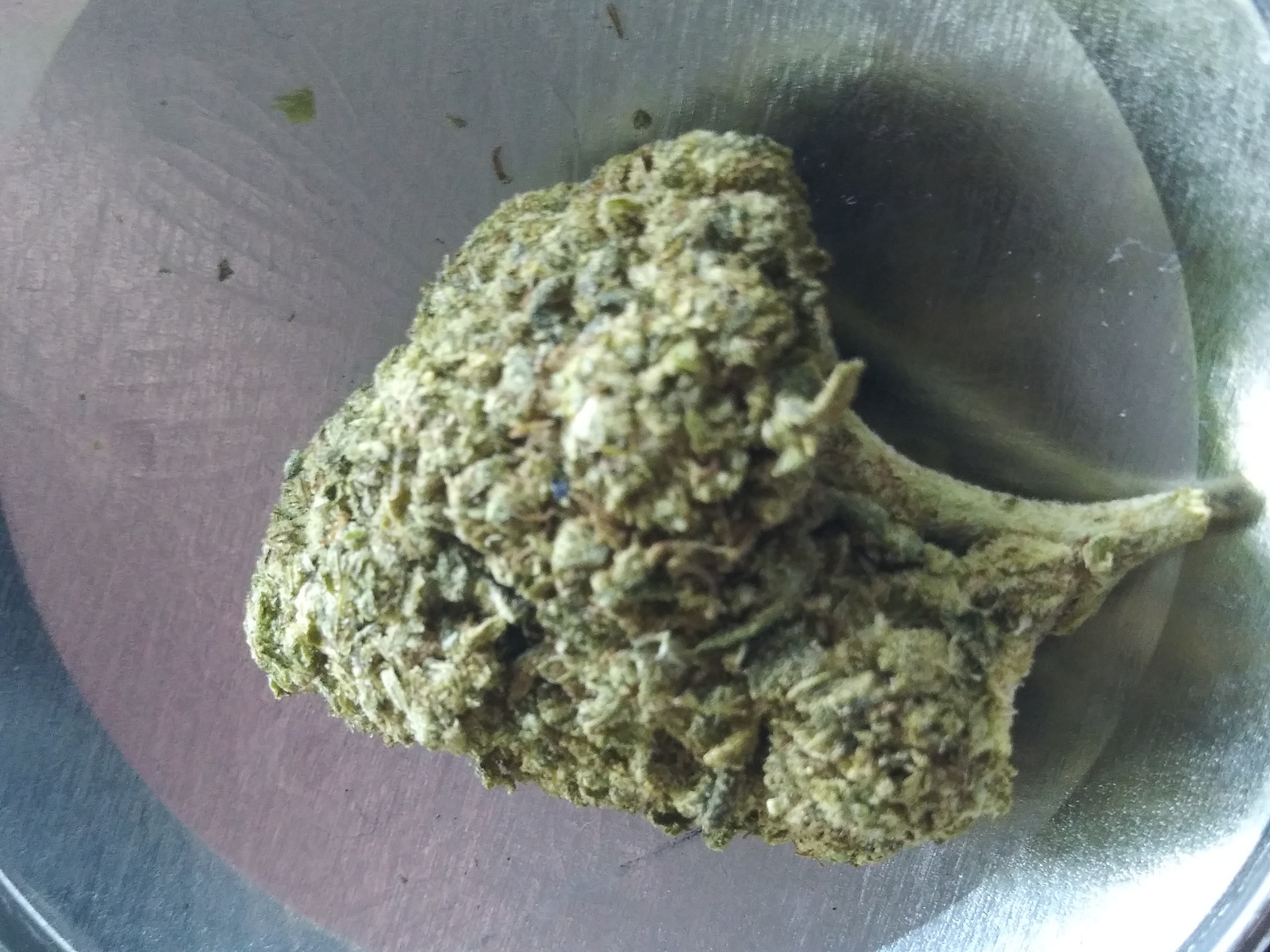 Gorilla OG Marijuana Strain Information & Reviews AllBud