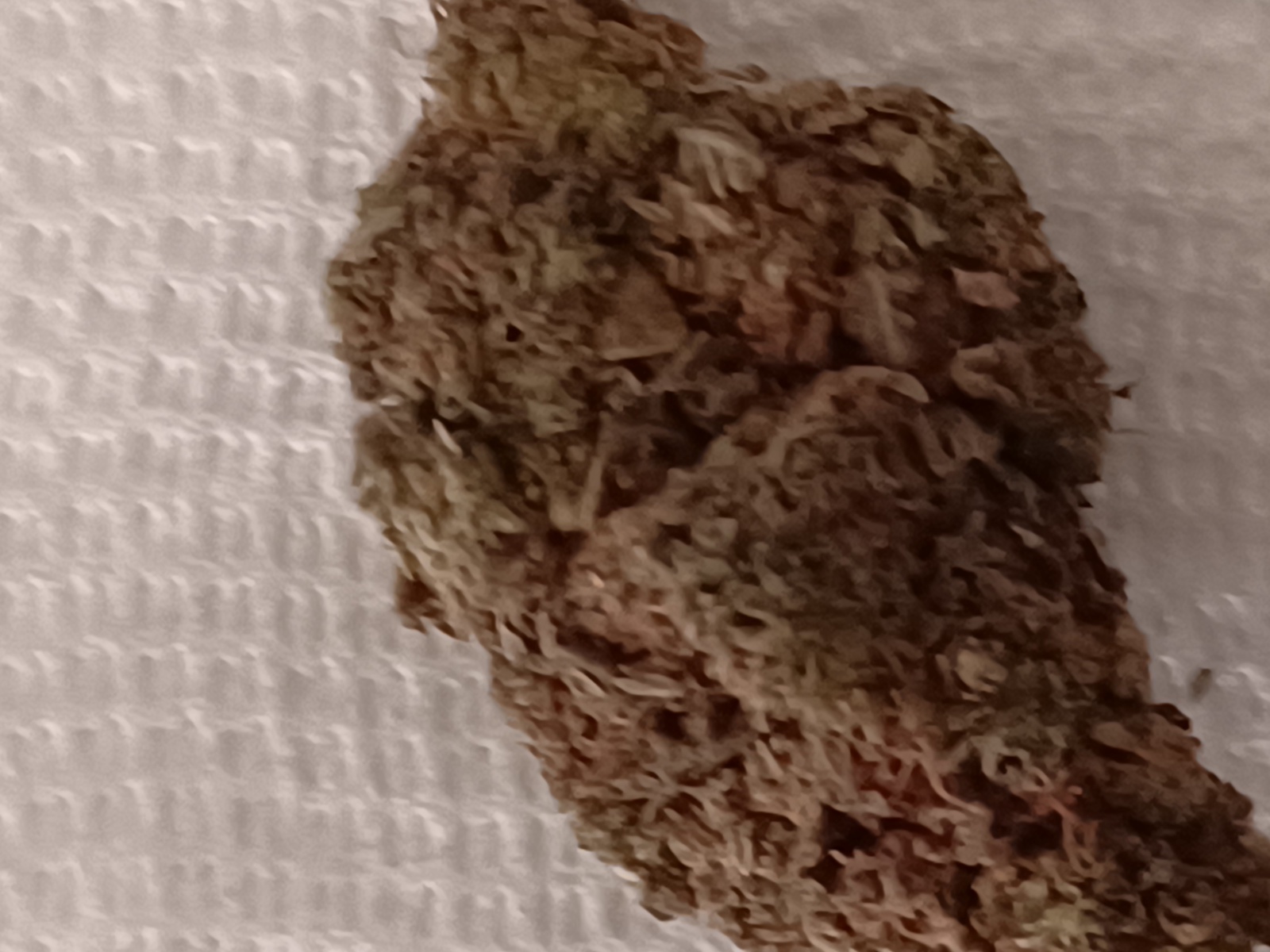 Gorilla Zkittlez Marijuana Strain Information & Reviews AllBud