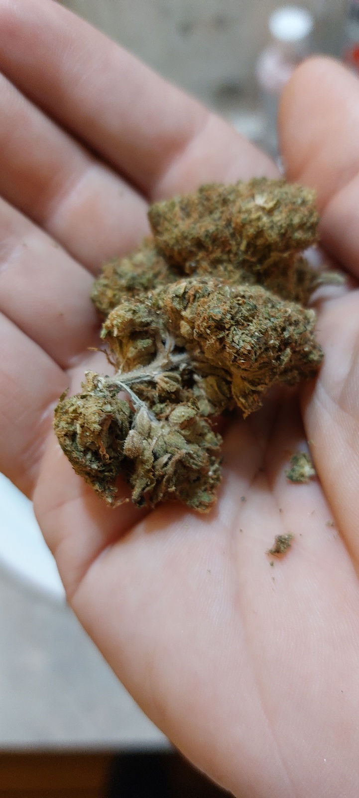Granddaddy OG Marijuana Strain Information & Reviews AllBud