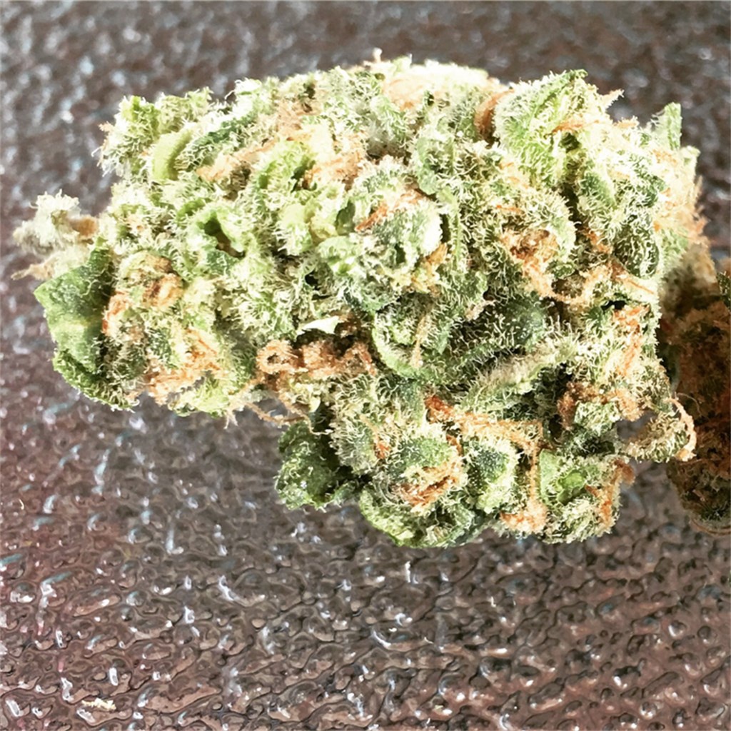 Grape Cheese Marijuana Strain Information & Reviews AllBud