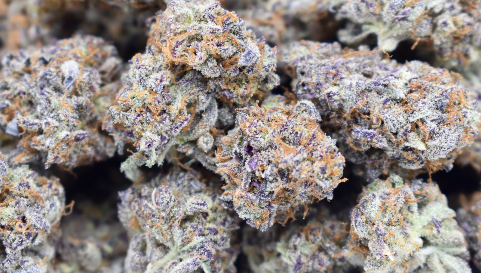 Grape Grenade Marijuana Strain Information & Reviews AllBud