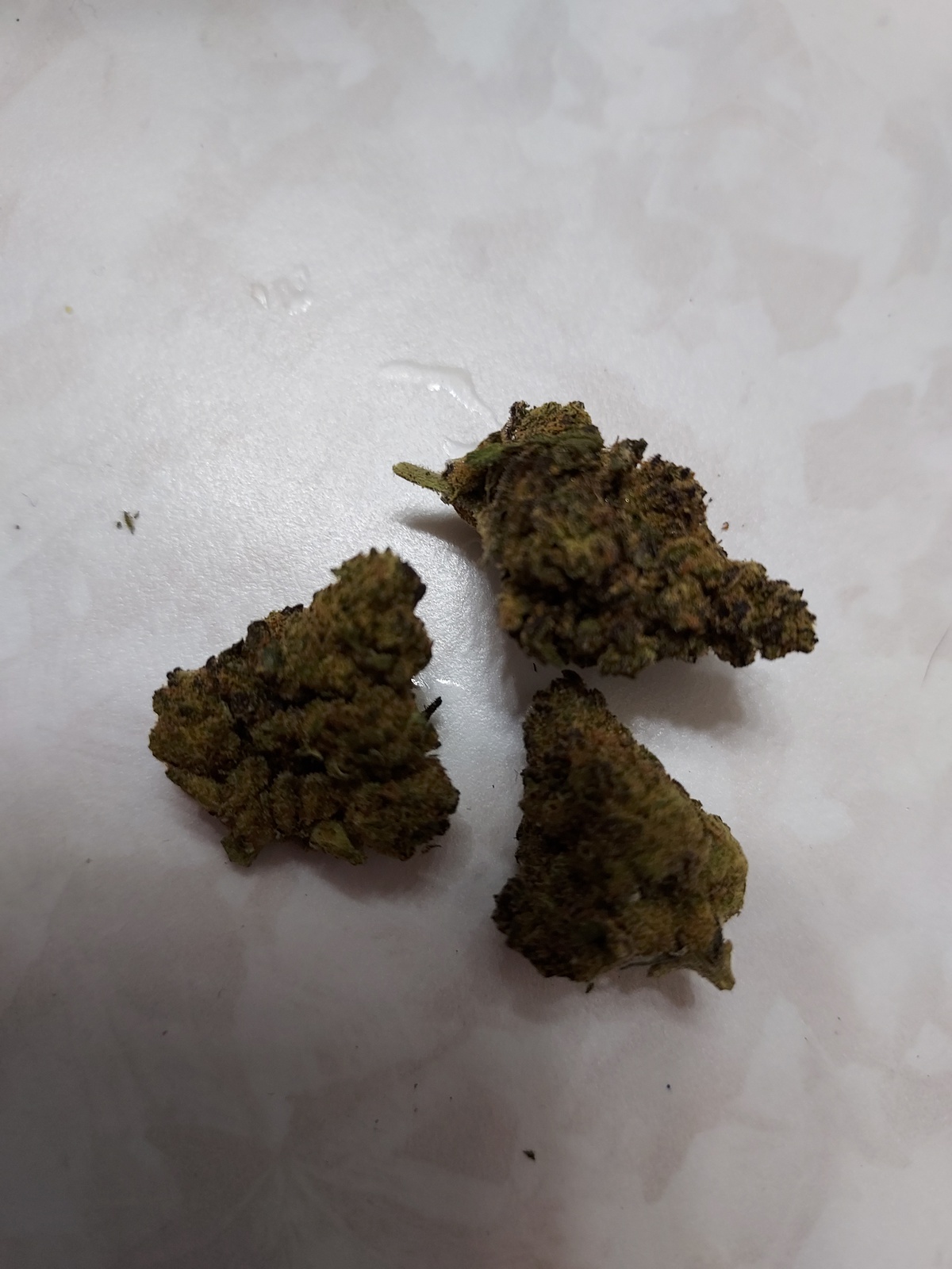 Grape Jelly Donut Marijuana Strain Information & Reviews AllBud