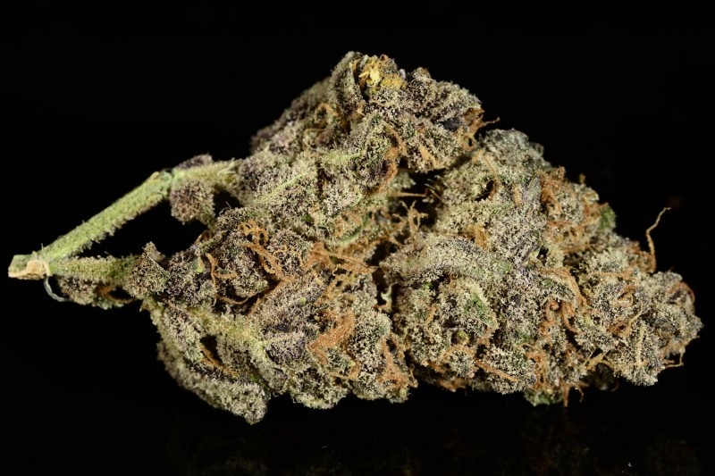 Grape Skunk Marijuana Strain Information & Reviews | AllBud