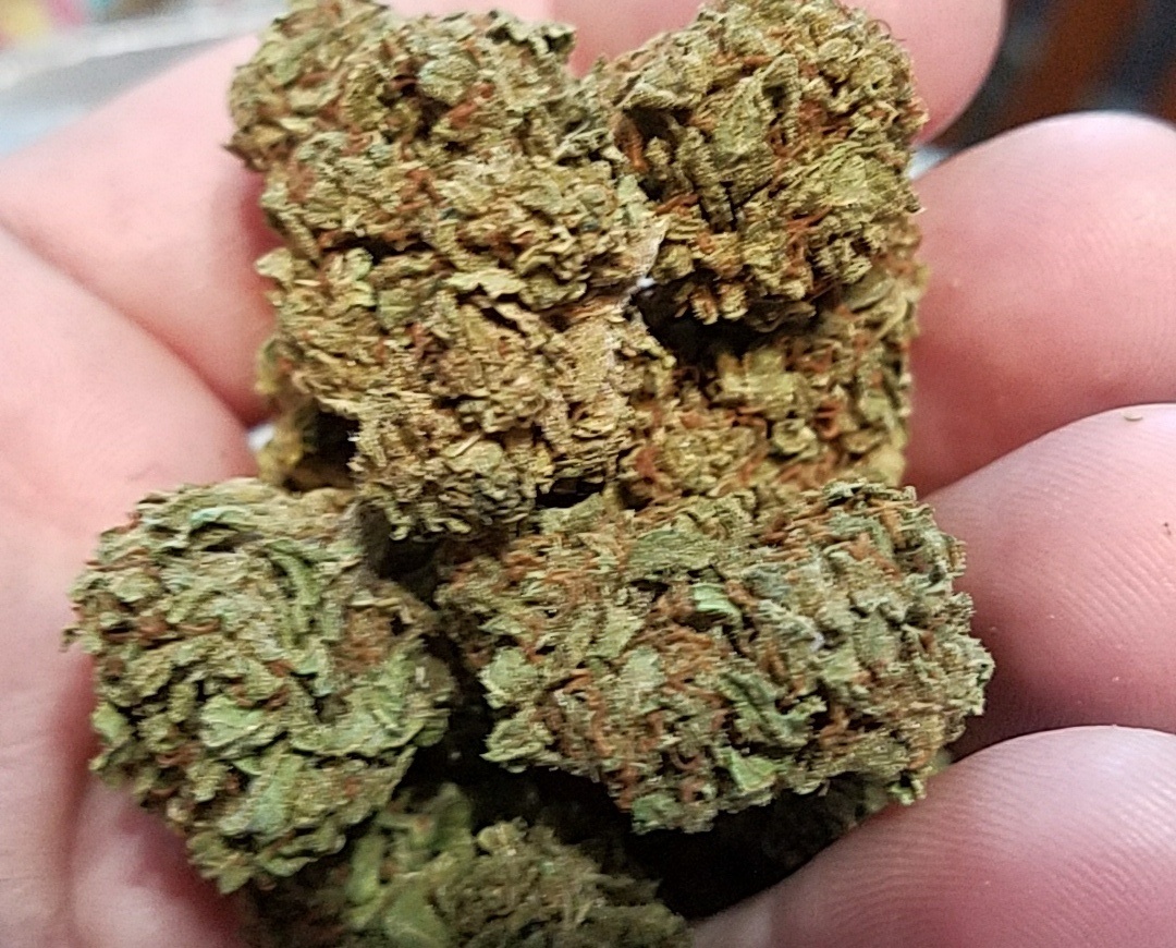 Grease OG Marijuana Strain Information & Reviews AllBud