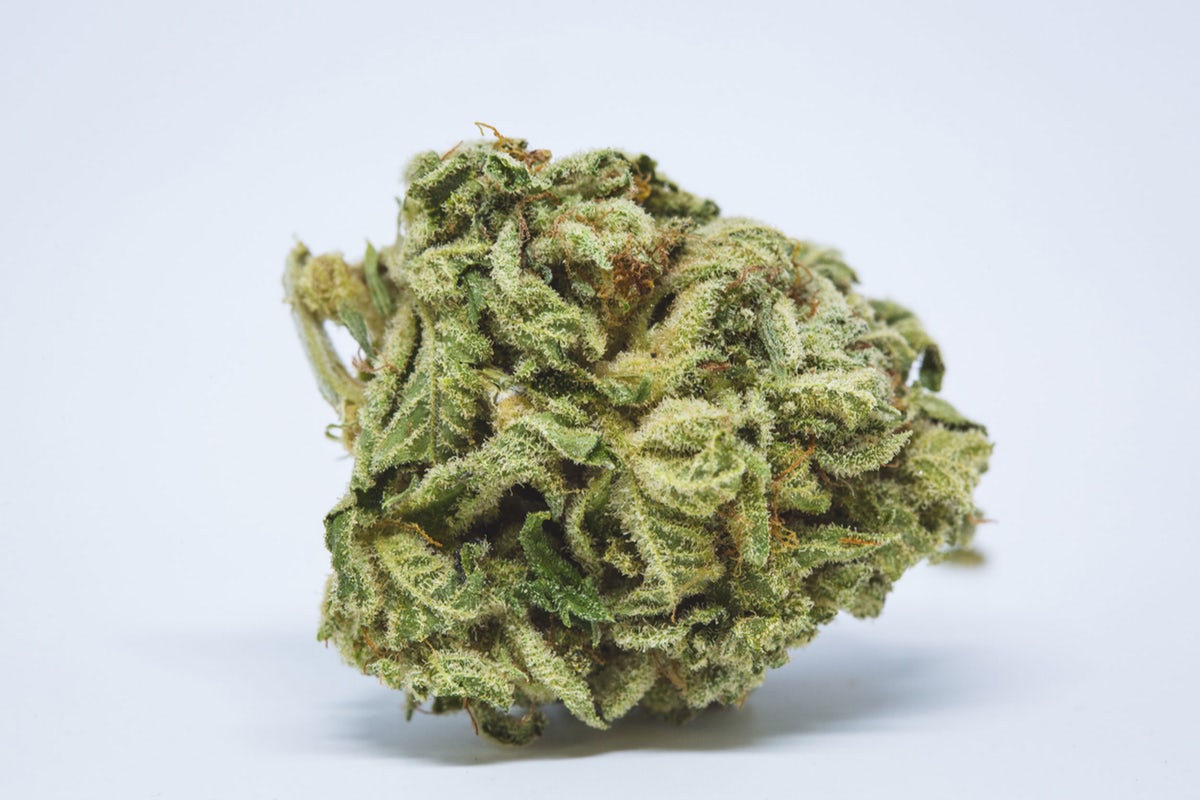 Green Spirit Marijuana Strain Information & Reviews AllBud