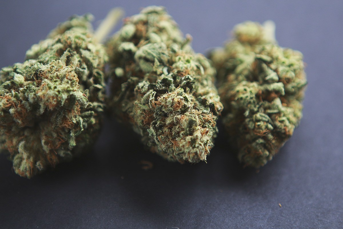 Guide Dawg Marijuana Strain Information & Reviews AllBud
