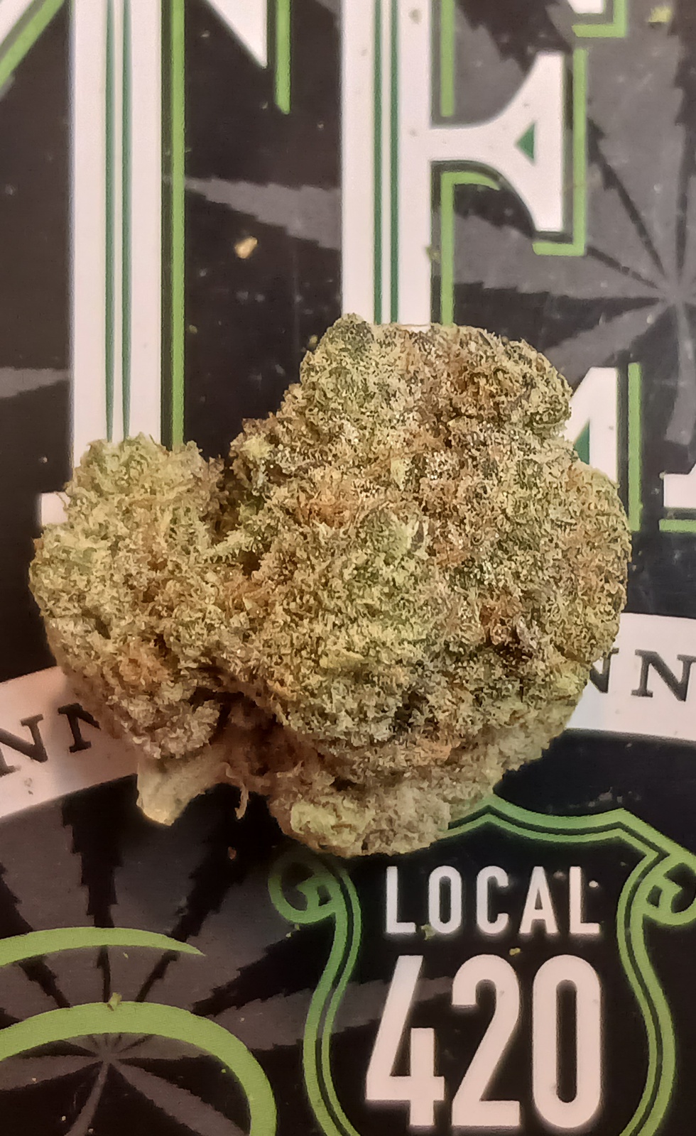 Han Solo Hashplant archive 1