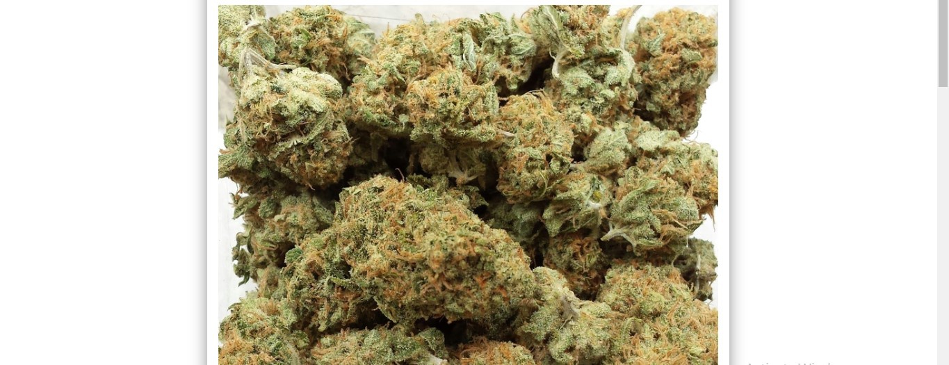 Happy Nightmare archive 1