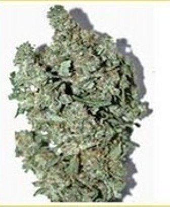 Hashmaster archive 1