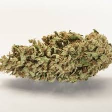 Havarra Wedding archive 1