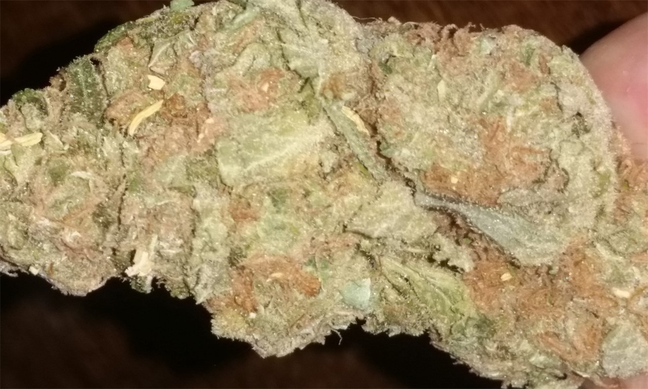 Hawaiian Herer Marijuana Strain Information & Reviews | AllBud