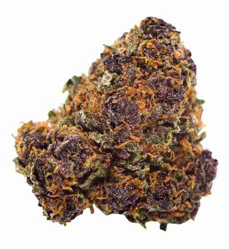 Hawaiian Honey Purple Marijuana Strain Information & Reviews | AllBud
