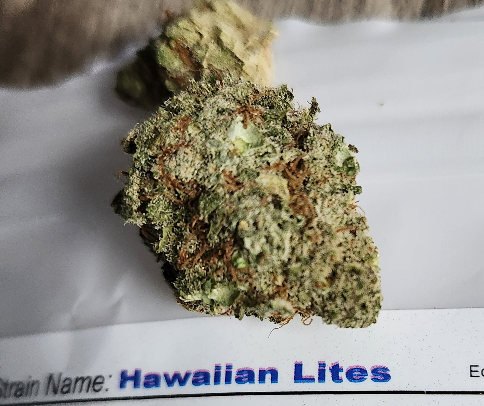 Hawaiian Lights archive 1