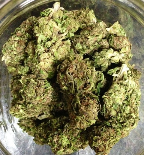 Haze Heaven archive 1