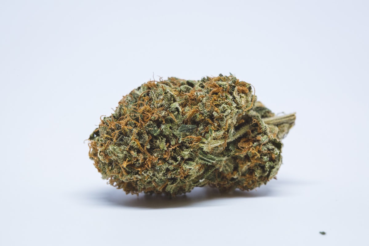 Hazy Margarita Marijuana Strain Information & Reviews AllBud