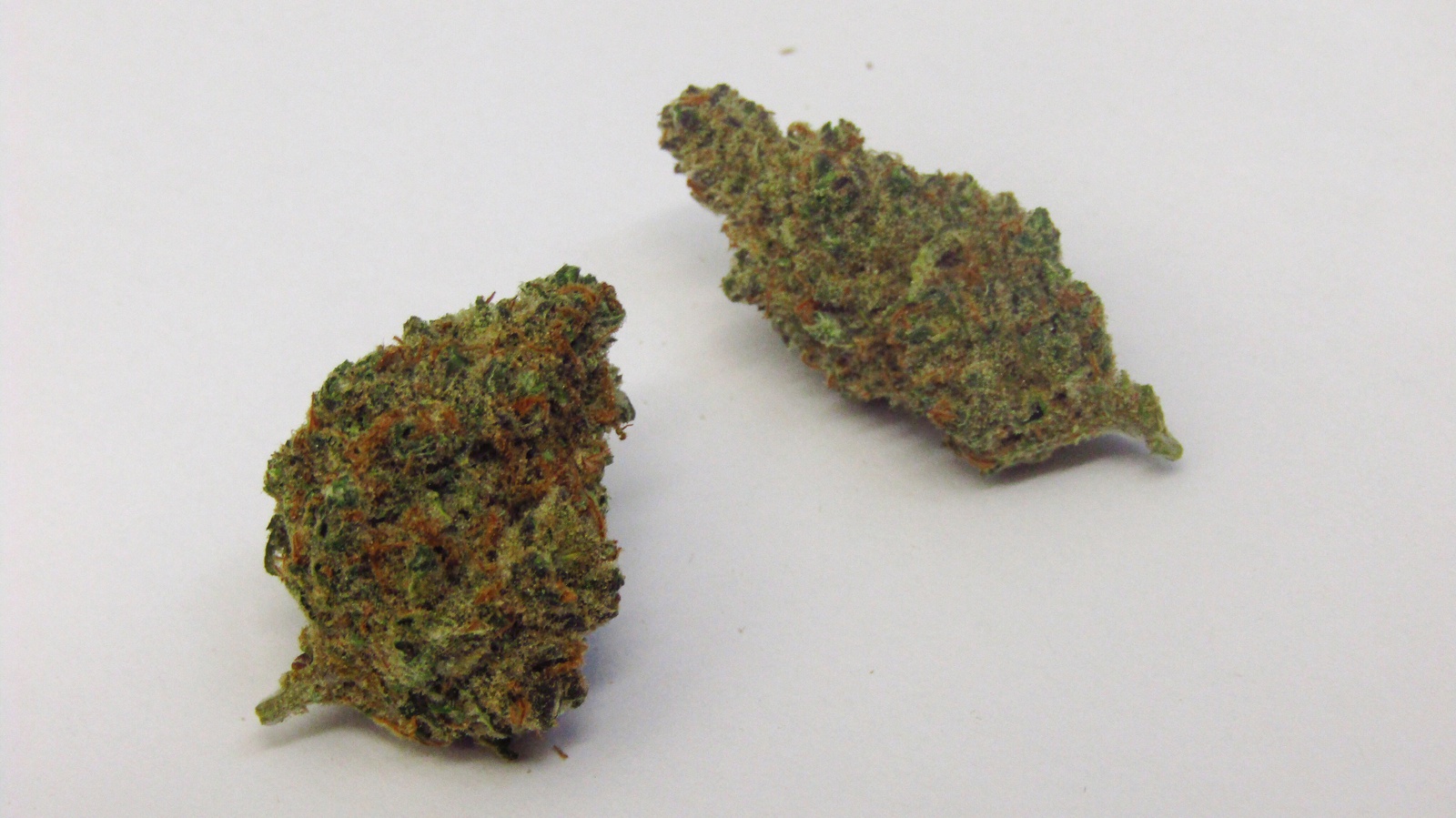 Head Trip Marijuana Strain Information & Reviews AllBud