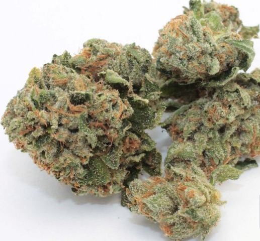 Hell Raiser OG archive 1