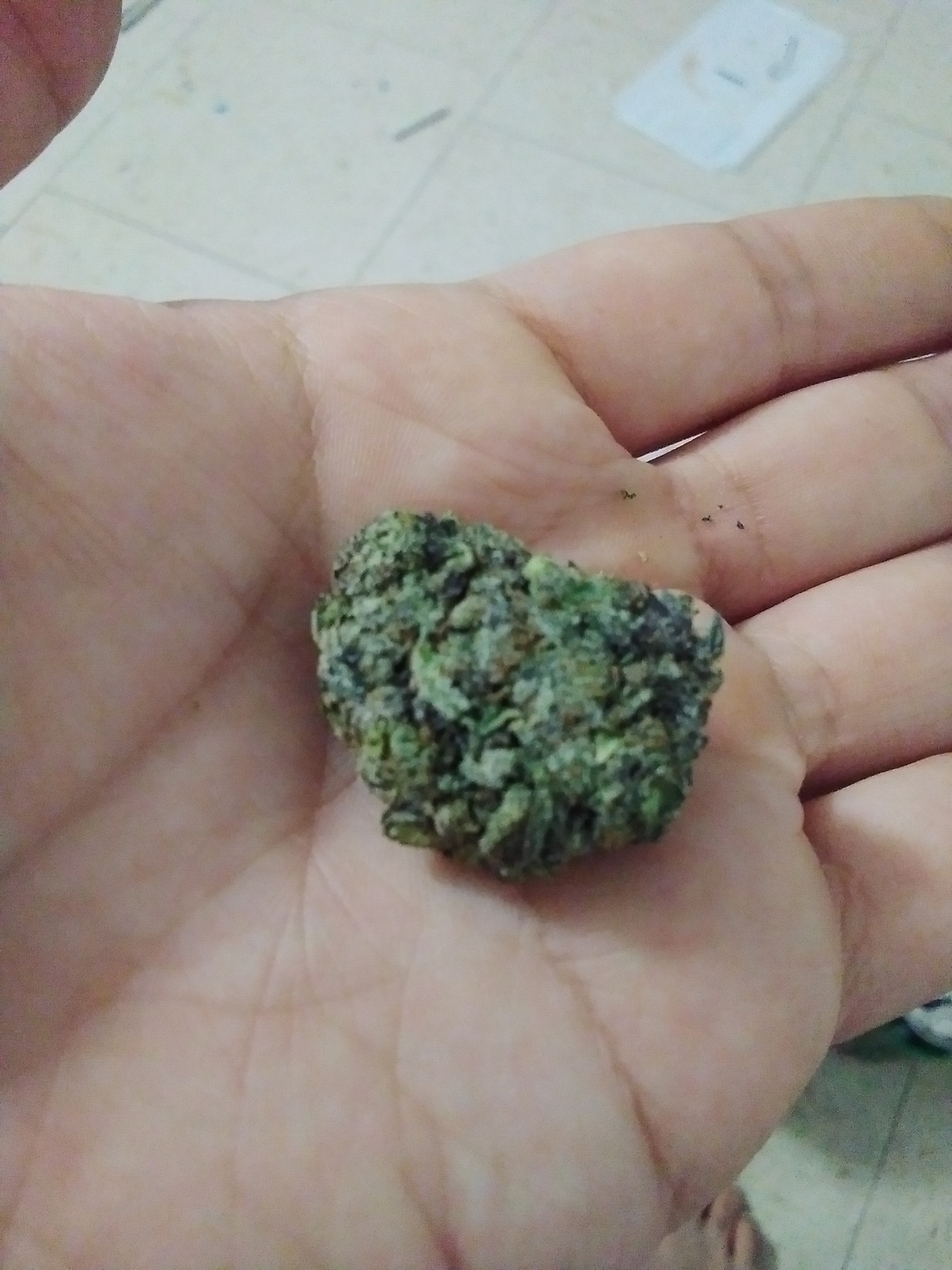 Holy Grail Kush