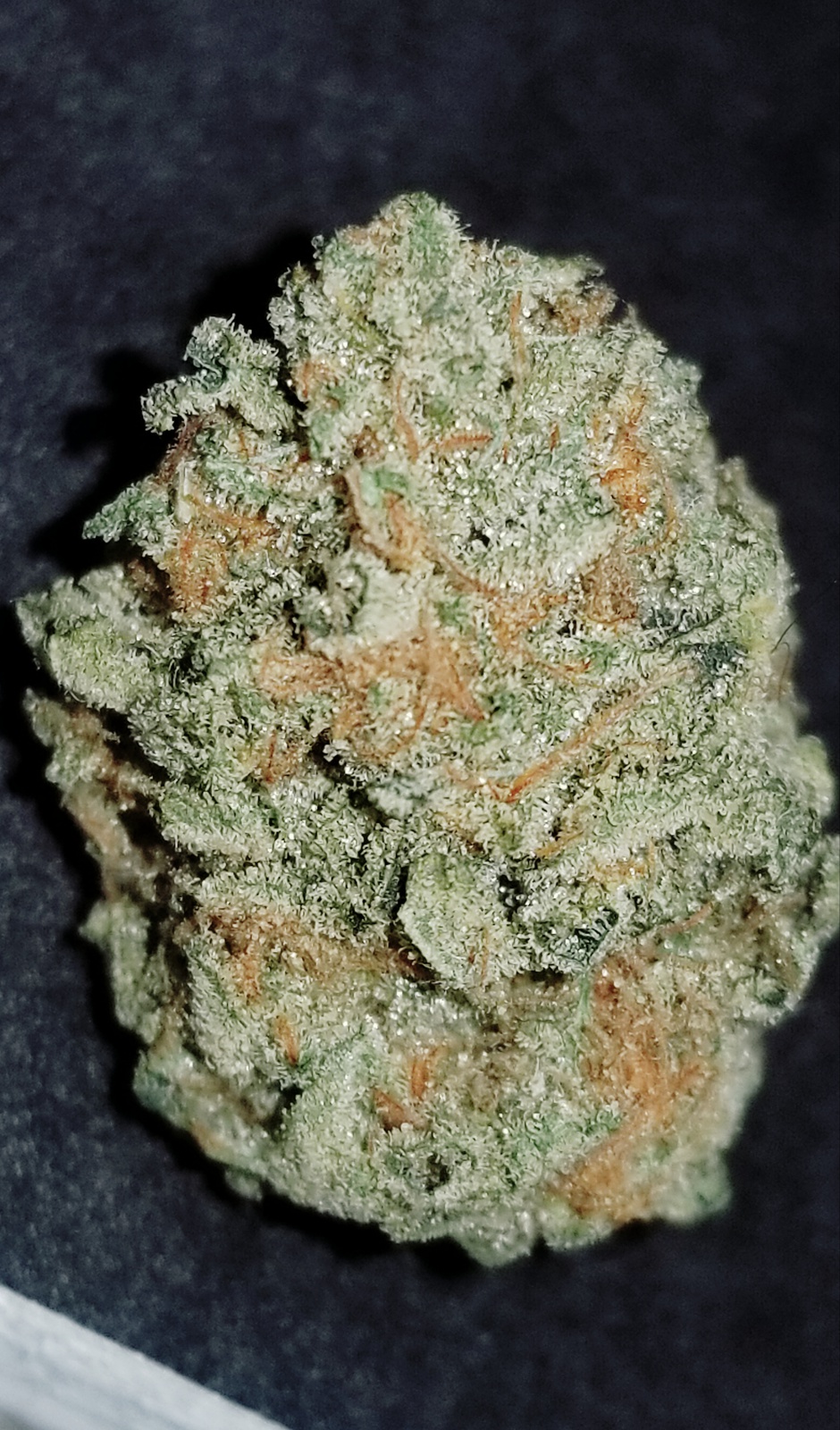 Honey Pot Kush Marijuana Strain Information & Reviews AllBud