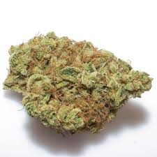 Houdini Rift archive 0