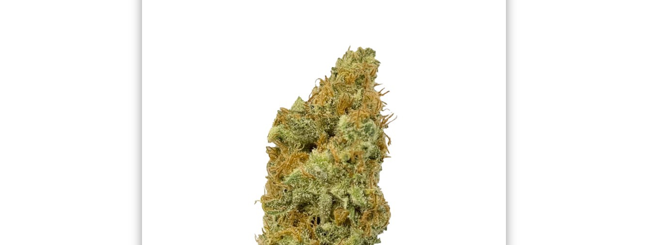 Ice Cool CBD Marijuana Strain Information & Reviews AllBud