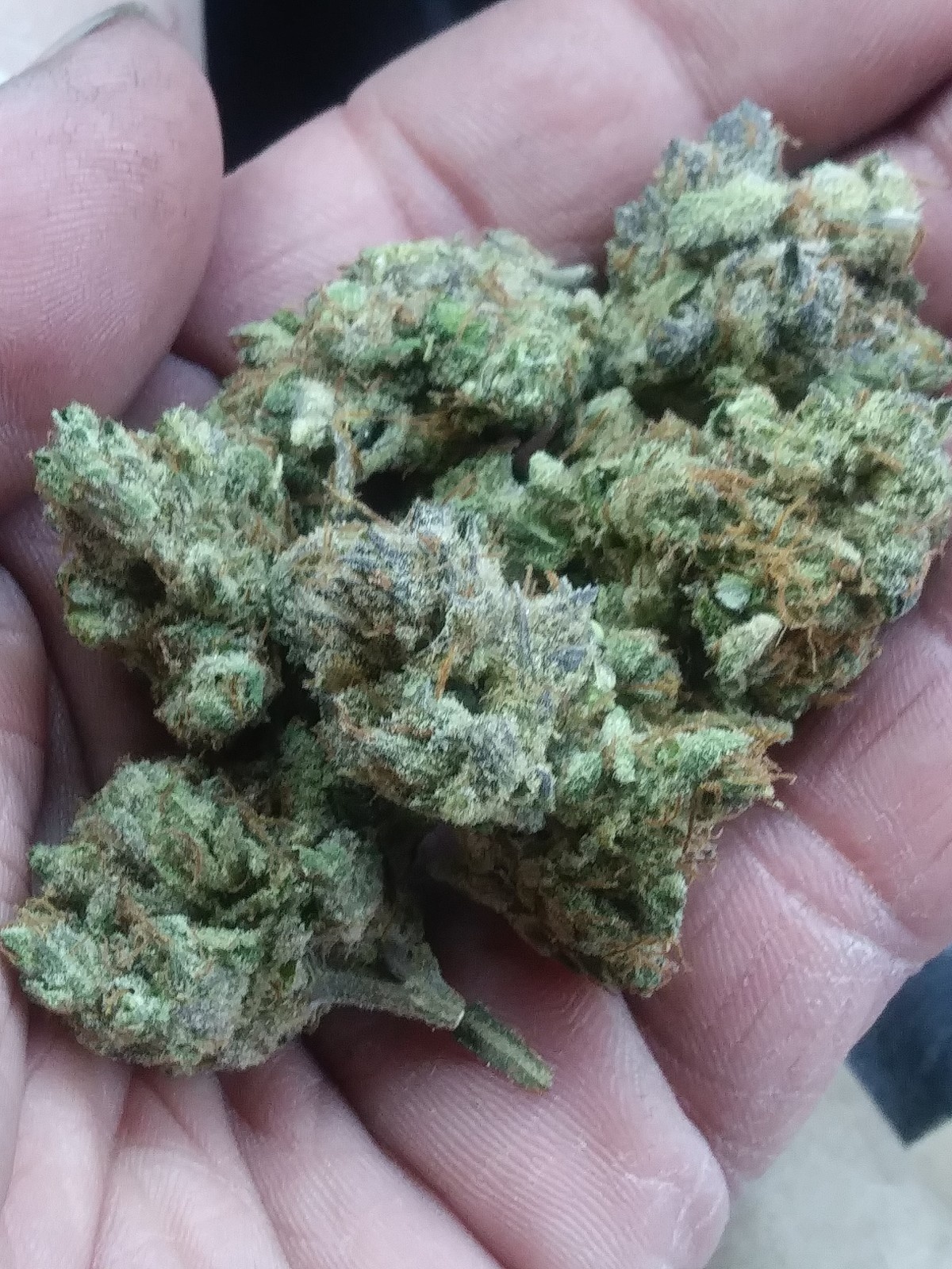 Incredible Power archive 0