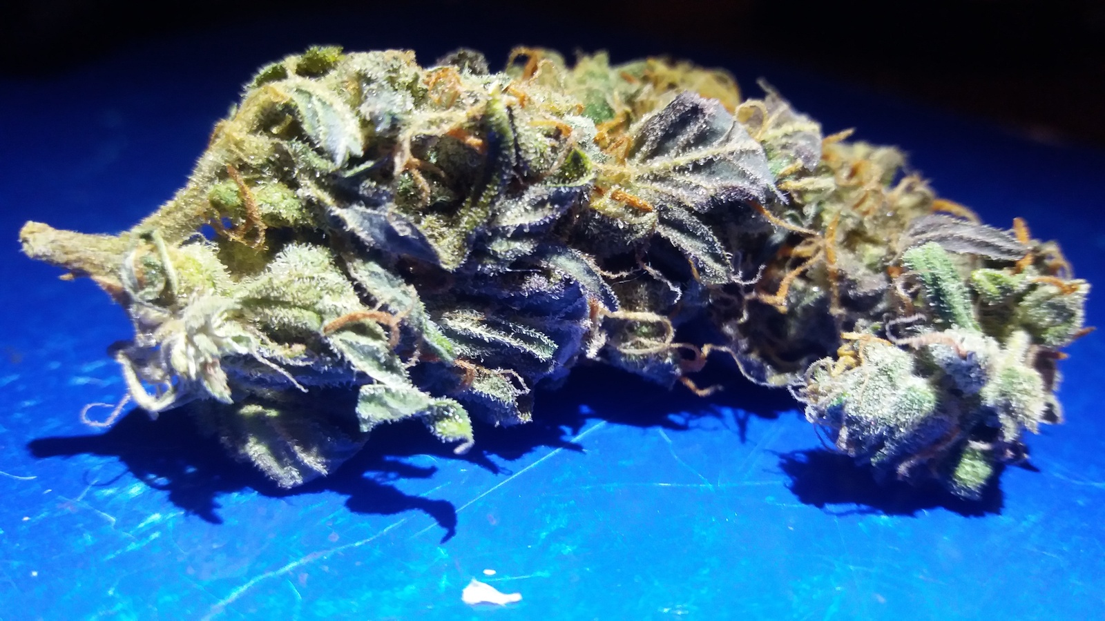 Jack 47 Marijuana Strain Information & Reviews | AllBud