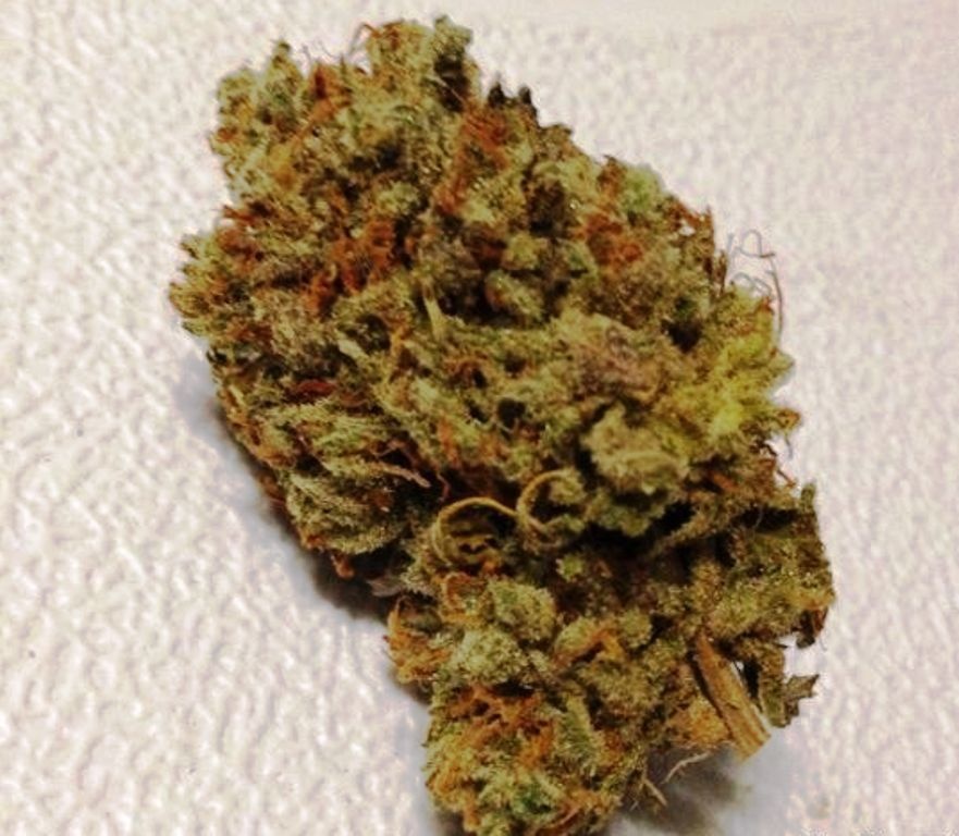 Jack Burton Marijuana Strain Information & Reviews AllBud