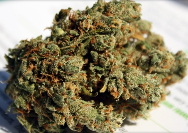 Jack of Spades Marijuana Strain Information & Reviews | AllBud
