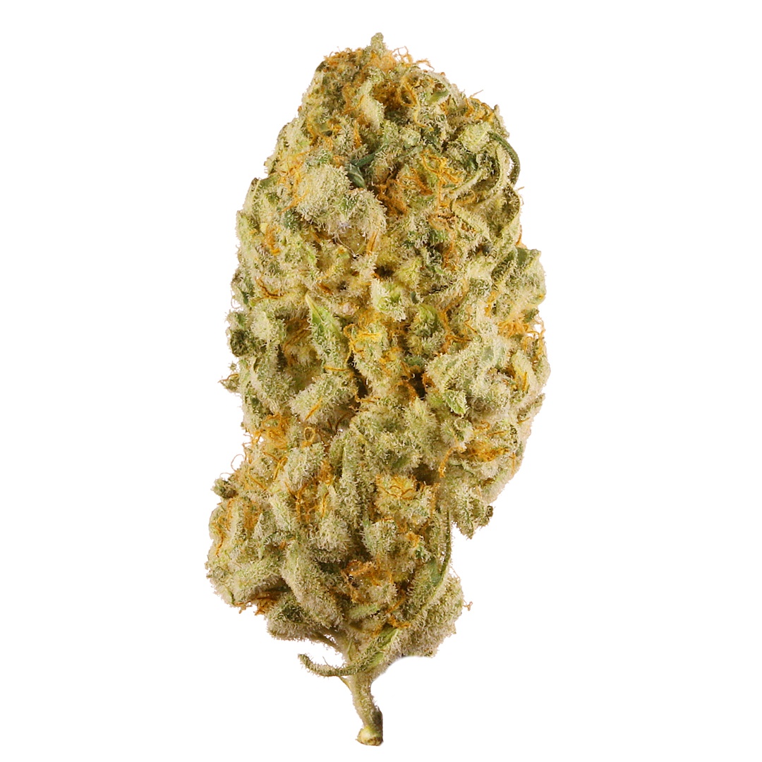 Jack's Cleaner 2 Marijuana Strain Information & Reviews | AllBud