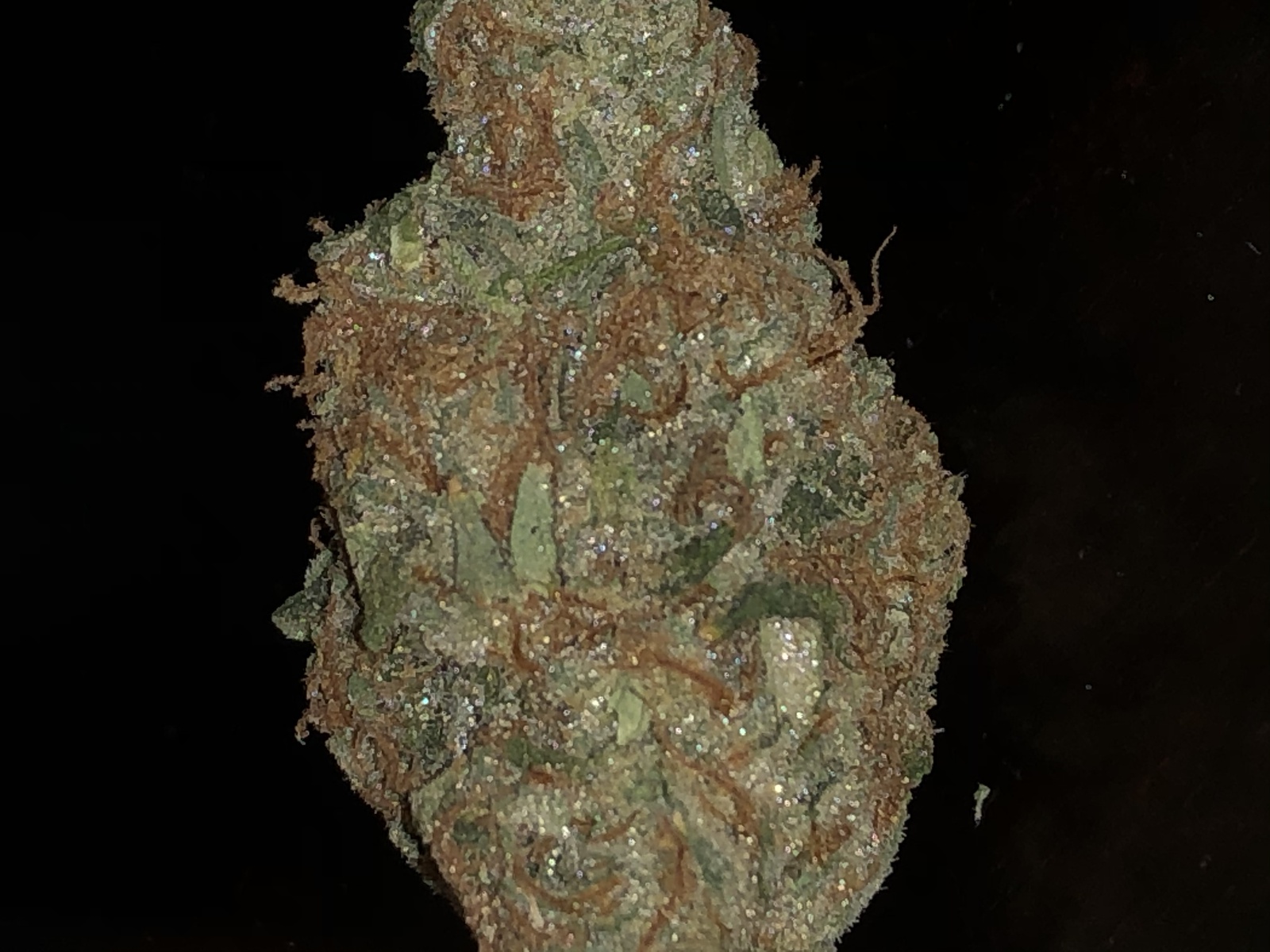 Jenny Kush: strain page photo, credit allbud.s3.amazonaws.com, copyright status shown with credit copyright unverified