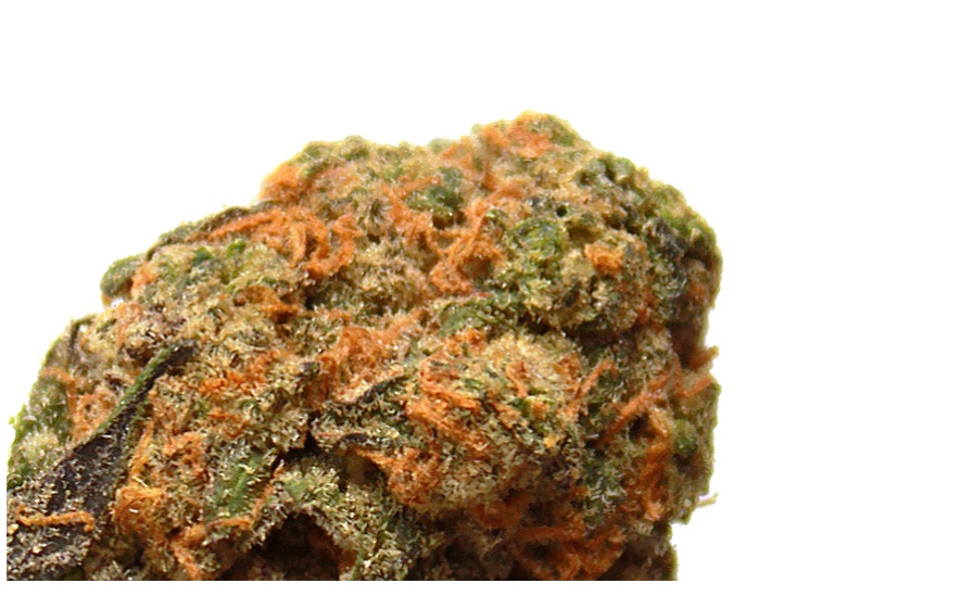 Jet Juice Marijuana Strain Information & Reviews AllBud