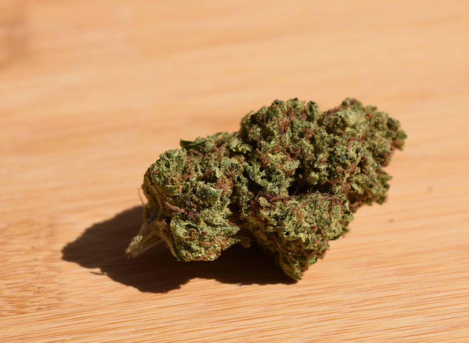 Jilly Bean Marijuana Strain Information & Reviews AllBud