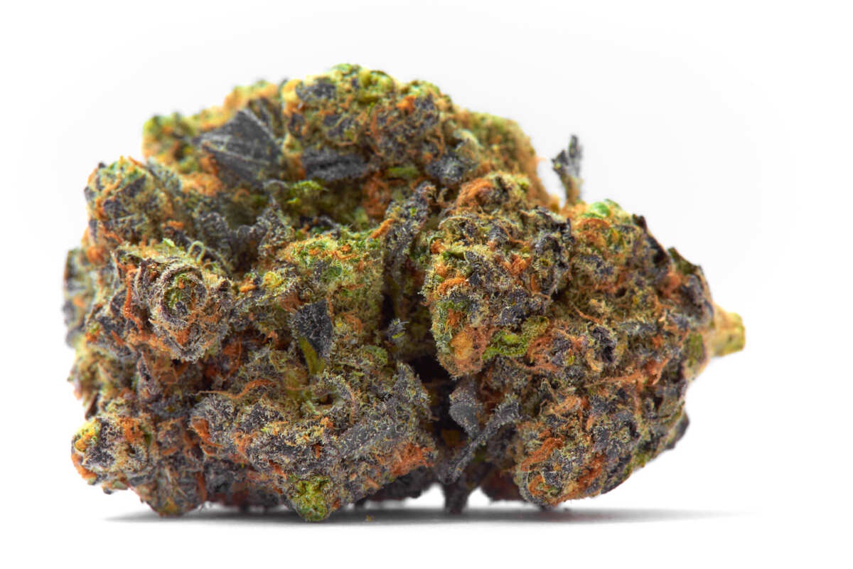 Jungle Canyon Marijuana Strain Information & Reviews AllBud