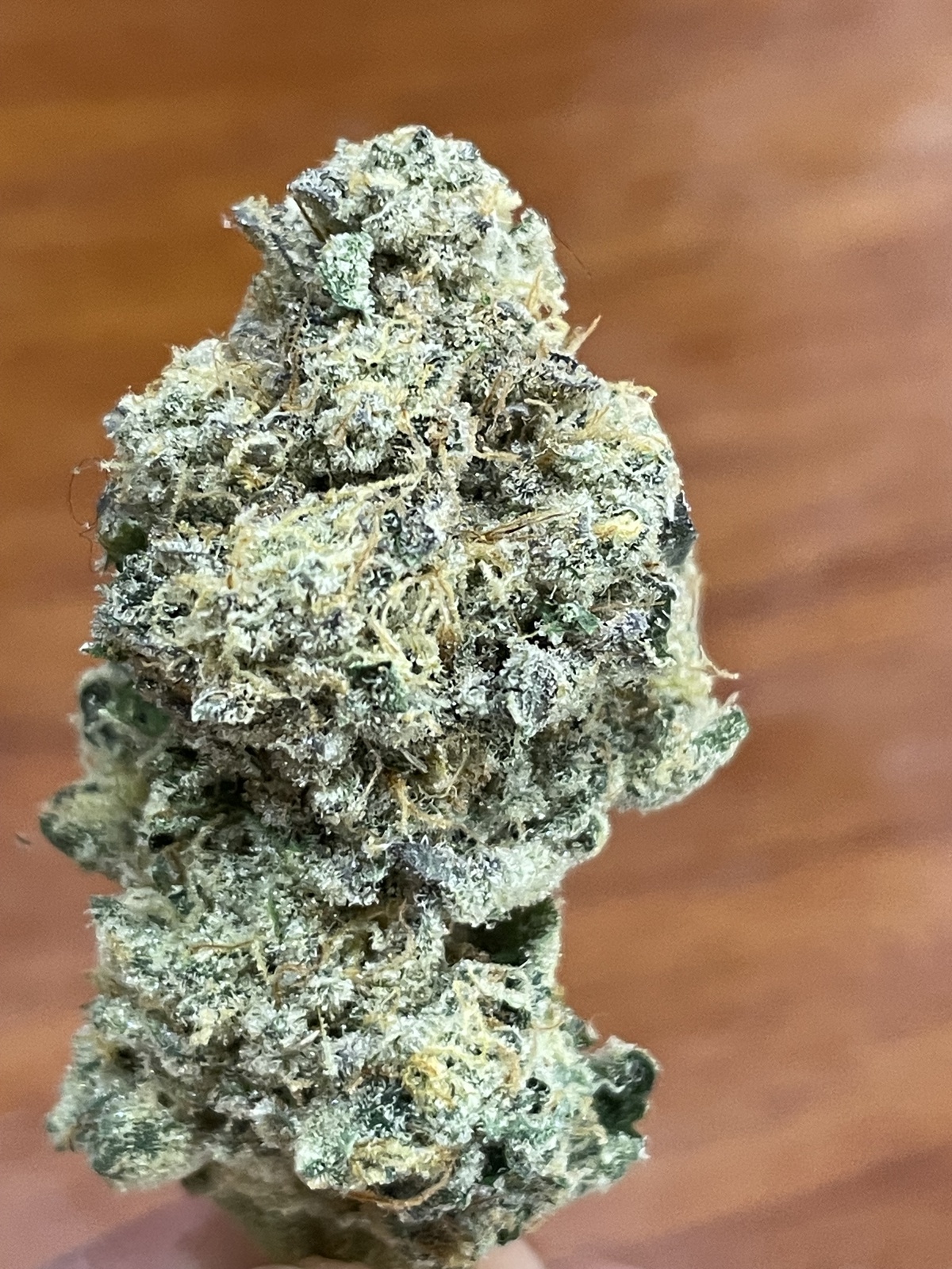 Jungle Fire Marijuana Strain Information & Reviews AllBud