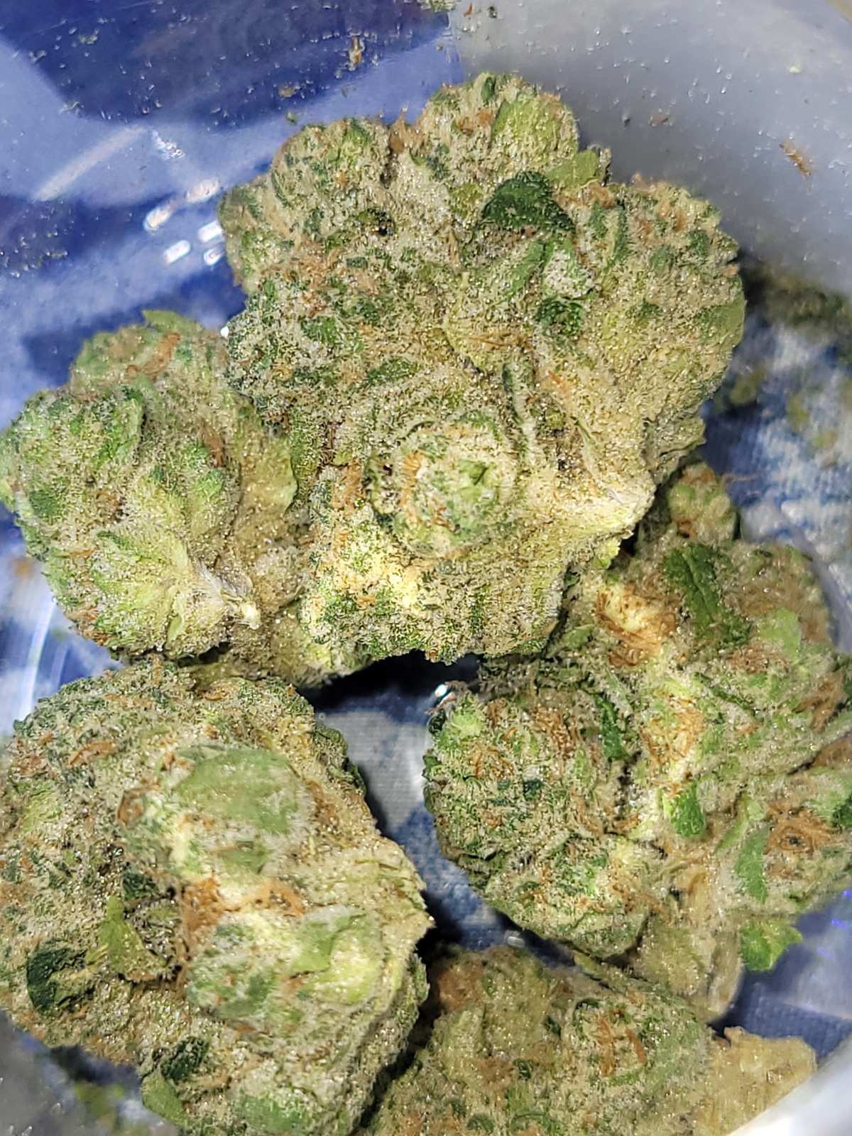 Jungle Grapes Marijuana Strain Information & Reviews AllBud