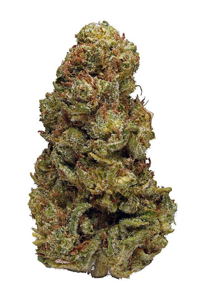 Jungle Lemons Marijuana Strain Information & Reviews AllBud