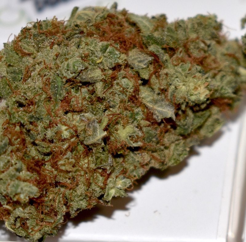 Jungle Punch Marijuana Strain Information & Reviews AllBud