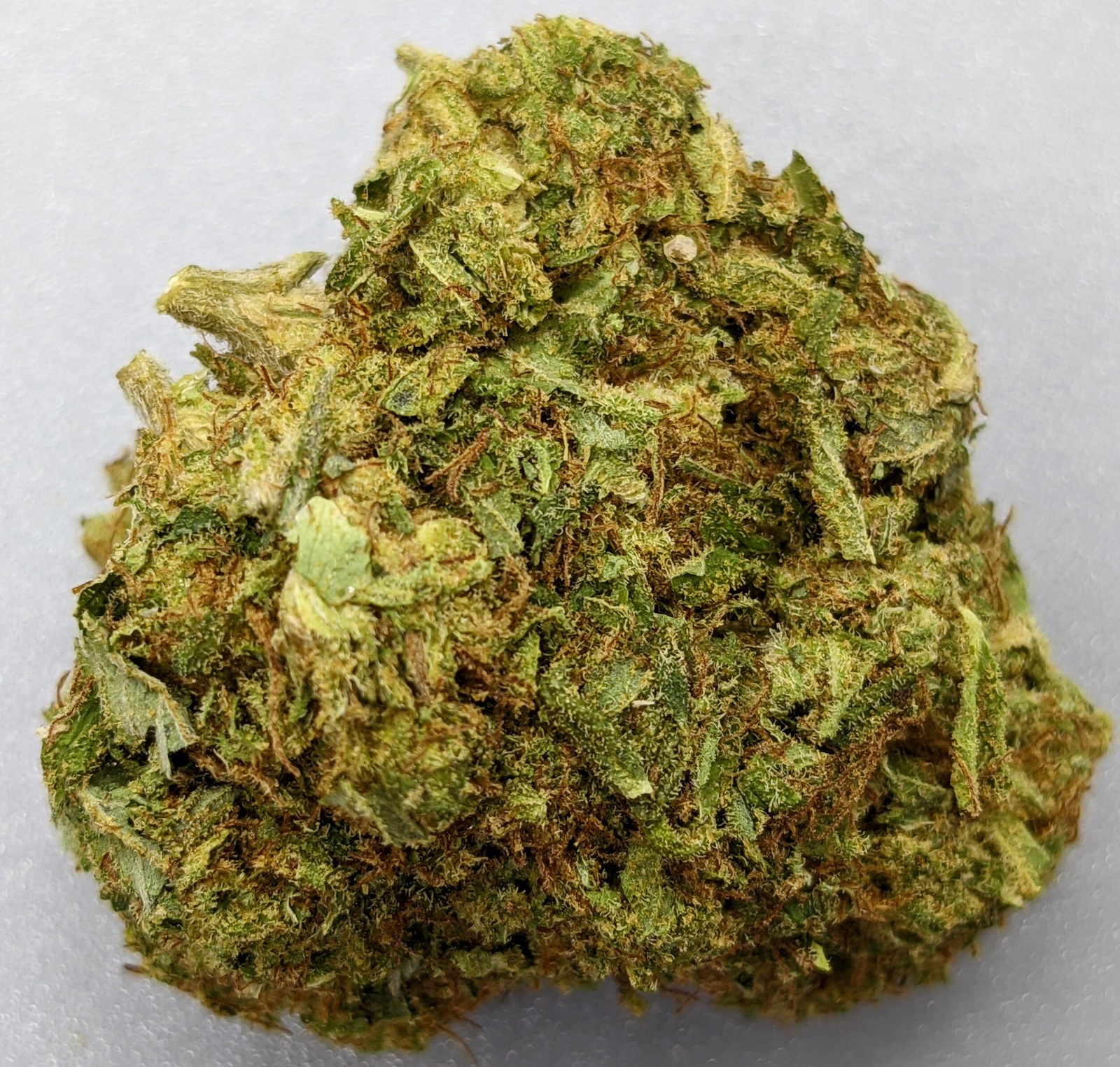 Key Lime Cookies Marijuana Strain Information & Reviews AllBud