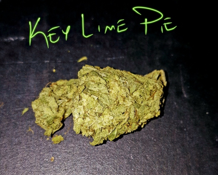 Key Lime Pie Marijuana Strain Reviews AllBud