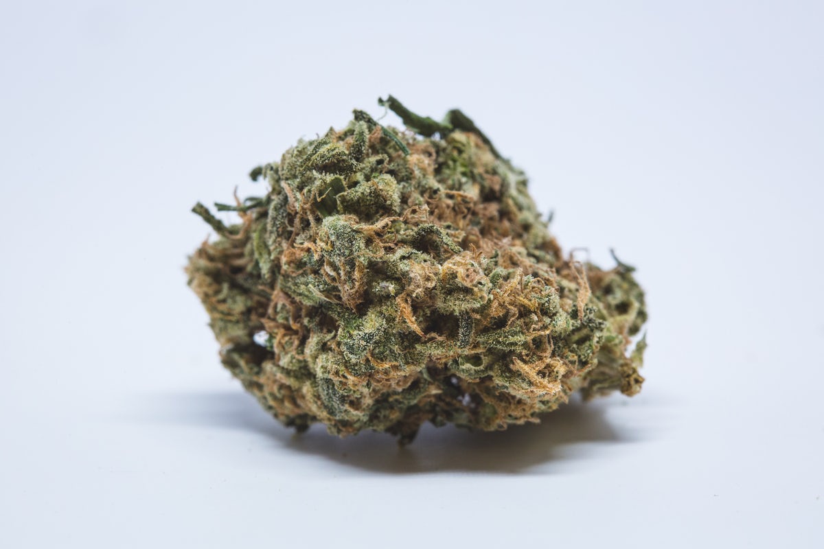 KritikalK Marijuana Strain Information & Reviews AllBud