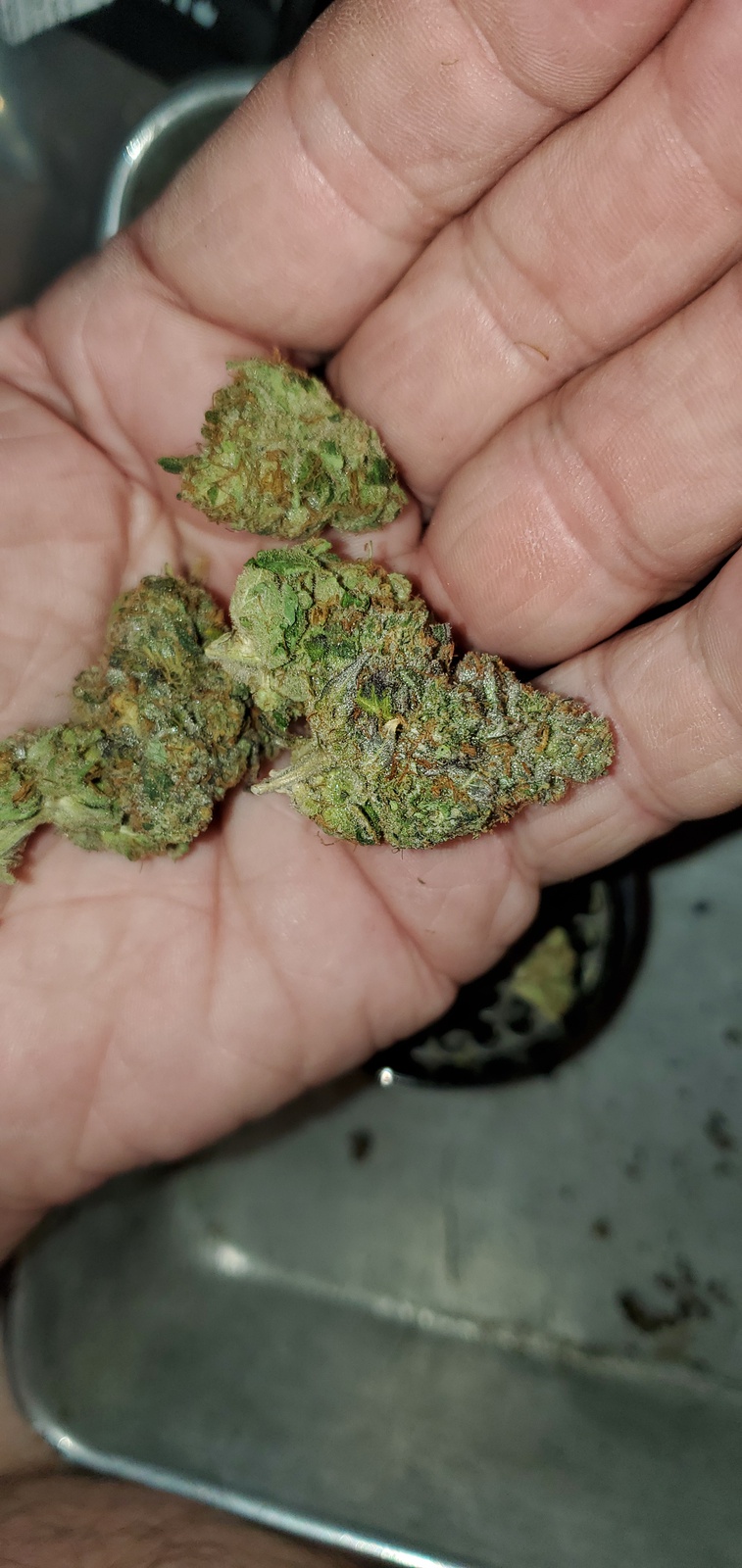 Kush Sorbet Marijuana Strain Information & Reviews AllBud