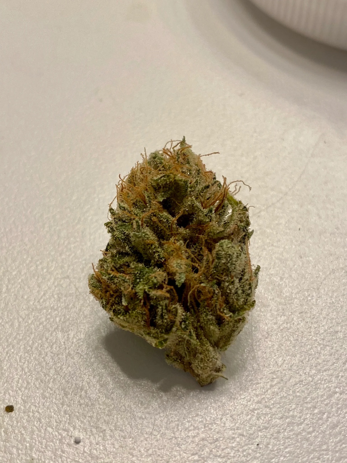 Kush Cookies Allbud 27 - 10wk6uy
