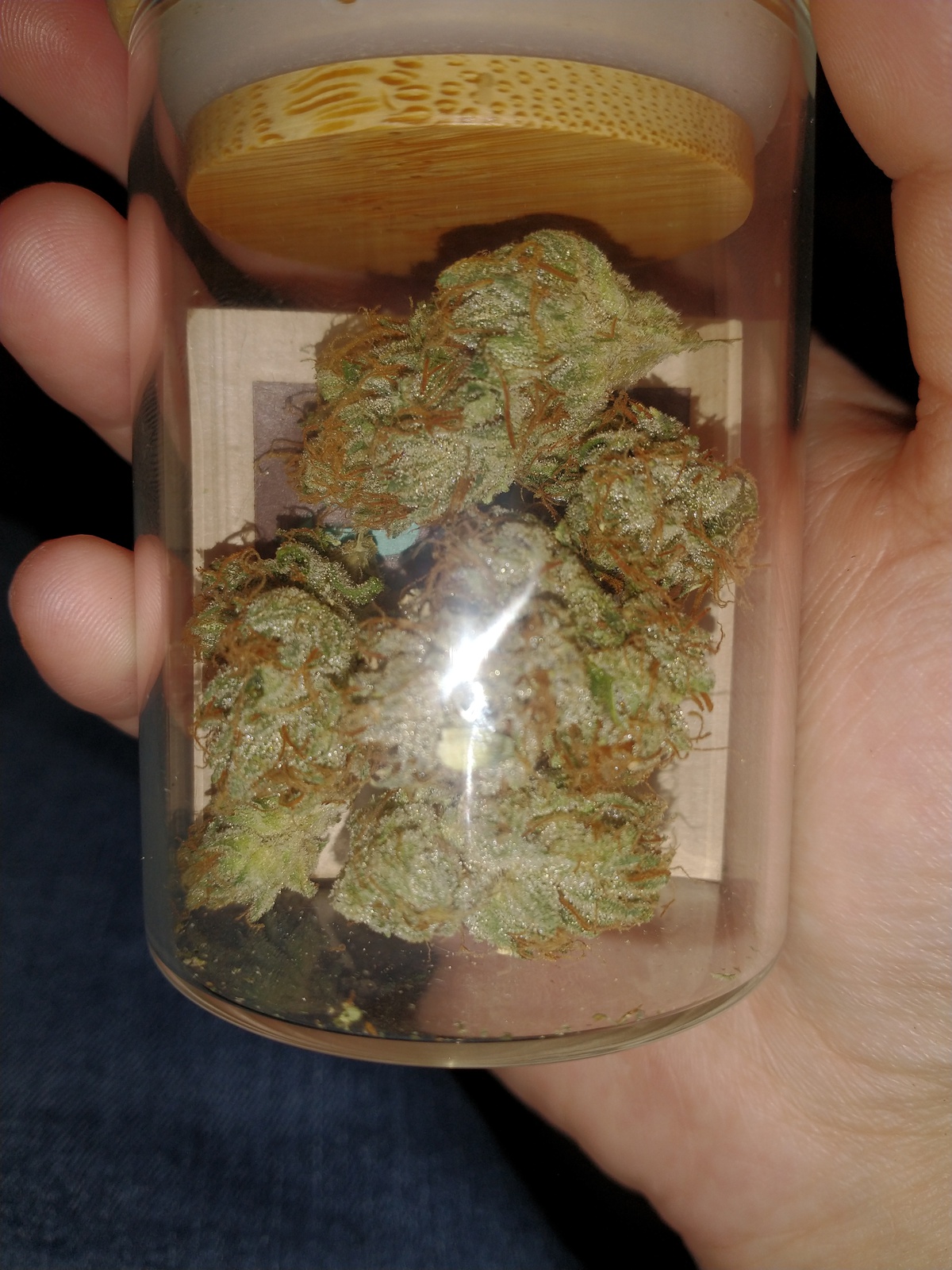 Kush Cookies Allbud 27 - sw6dd0k