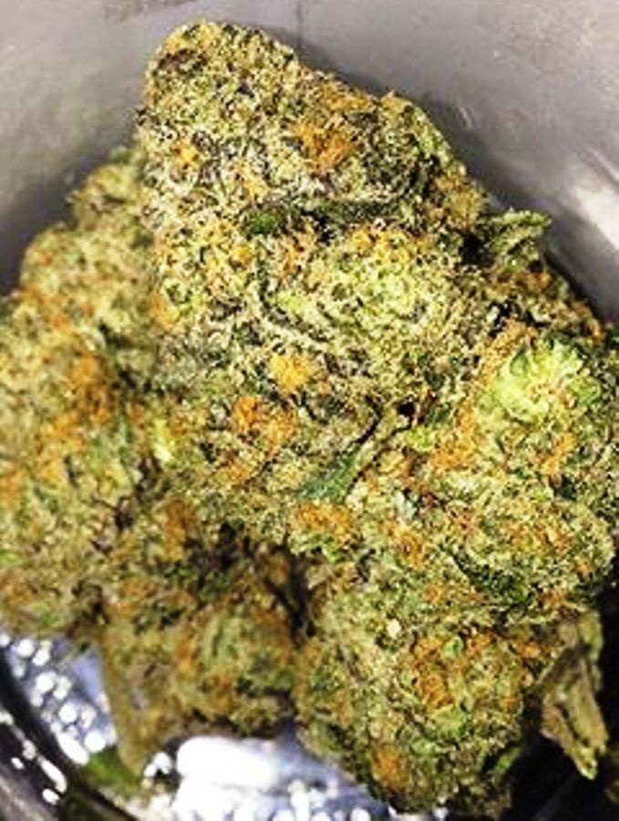LA Kookies Marijuana Strain Information & Reviews AllBud